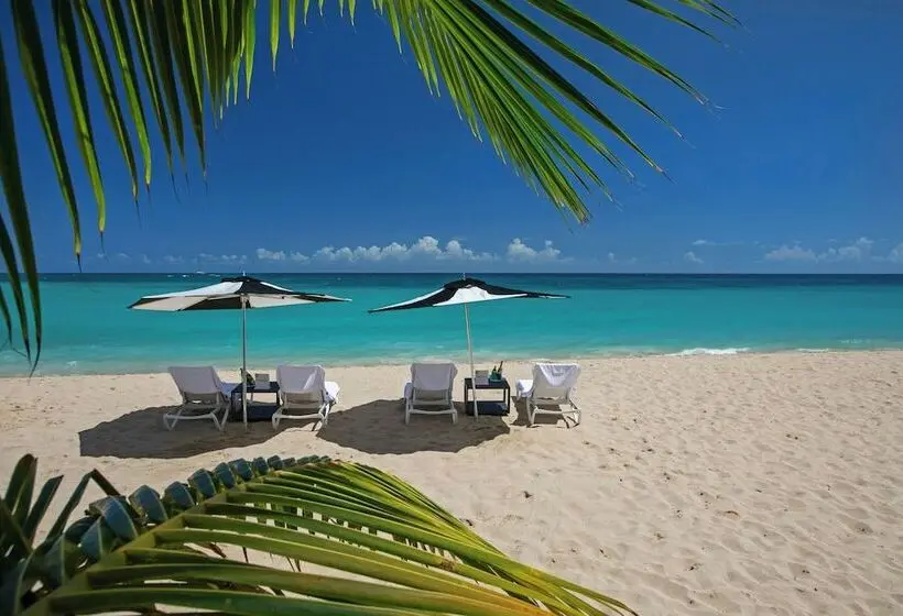 سوئیت با تخت بزرگ, Buoy Haus Beach Resort St. Thomas, Autograph Collection