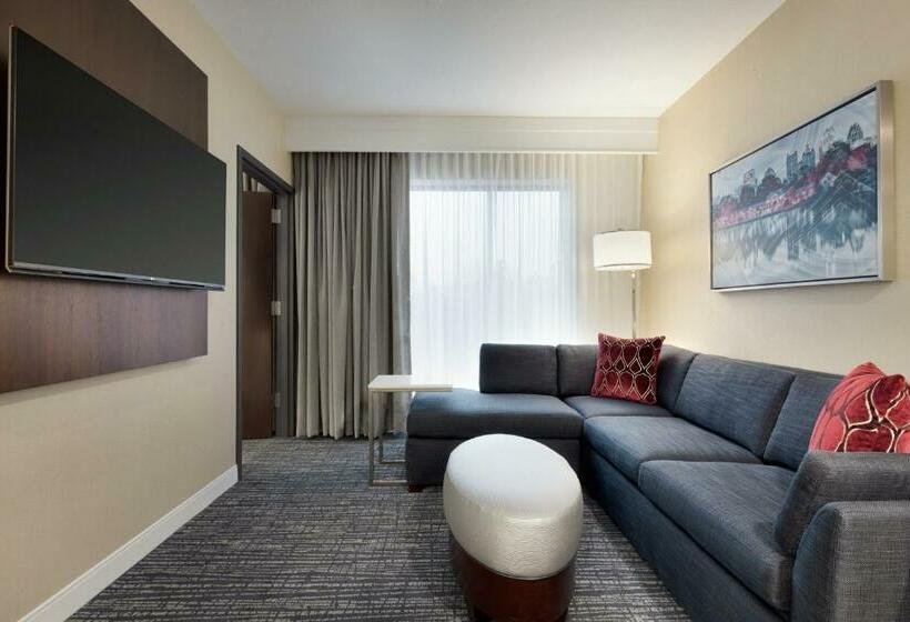 Люкс 2 Спальни, Embassy Suites By Hilton Atlanta Ne Gwinnett Sugarloaf