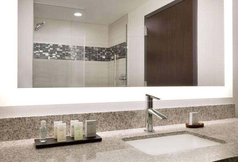 جناح بريميوم غرفتين نوم, Embassy Suites By Hilton Atlanta Ne Gwinnett Sugarloaf