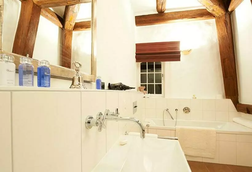 １ベッドルームアパートメント, Schloss Hotel Burgbrohl