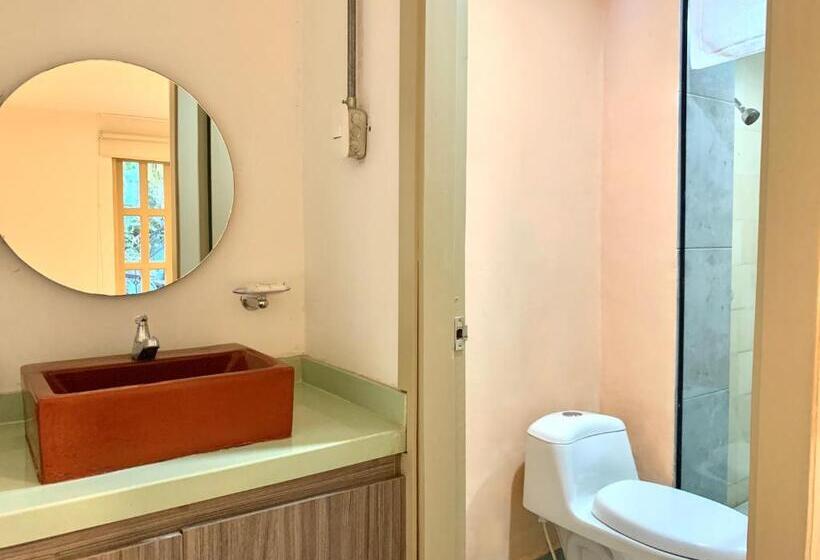 חדר סטנדרט, Hostel Boutique Musa Paradisiaca