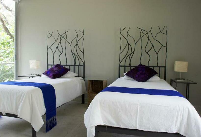 マウンテンビュースタンダードルーム, Casa Tepoztlán