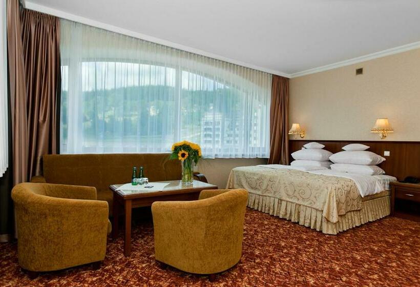 带观景的标准间, Gołębiewski Karpacz