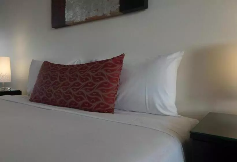 スタンダードルーム, The Chermside Apartments