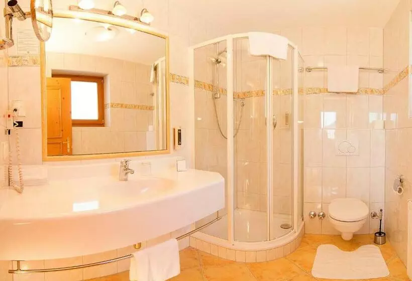 اتاق استاندارد یک نفره, Alpenhotel Tirolerhof