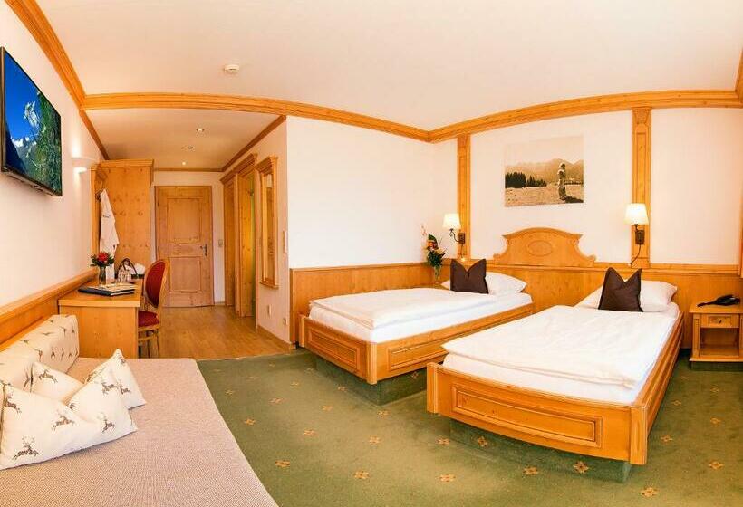 اتاق استاندارد, Alpenhotel Tirolerhof