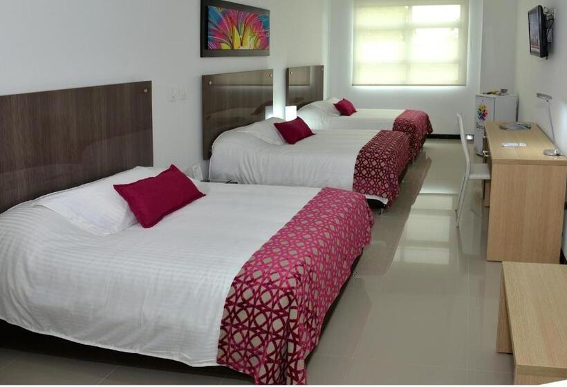 스탠다드 트리플 룸, Baroca