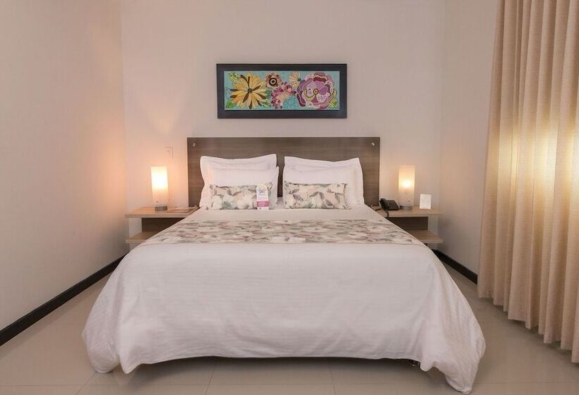 스탠다드 룸, Baroca