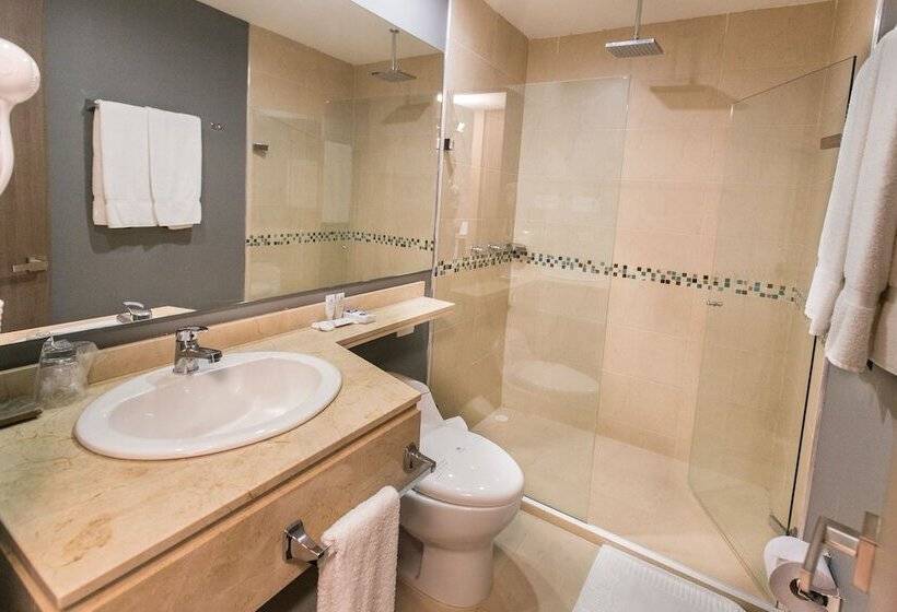 스탠다드 트리플 룸, Baroca