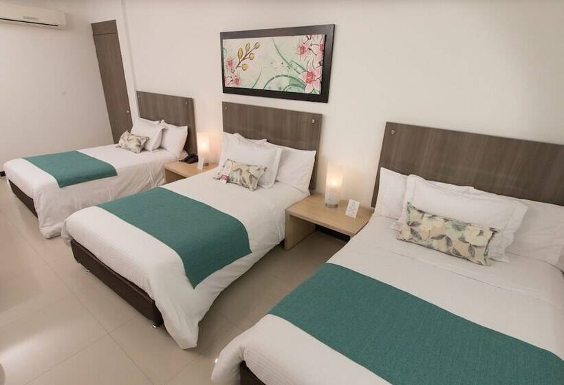 스탠다드 트리플 룸, Baroca