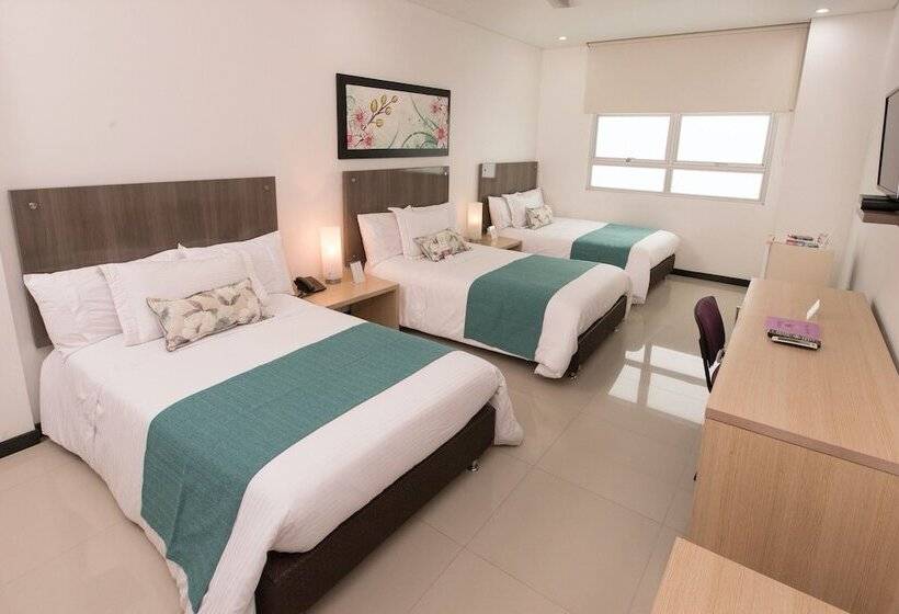 스탠다드 트리플 룸, Baroca