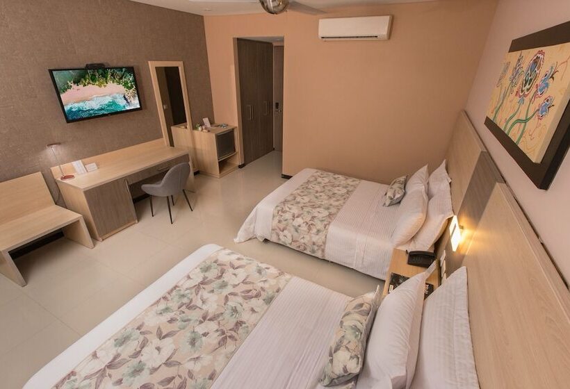 스탠다드 룸, Baroca