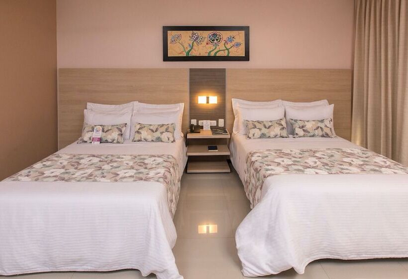 스탠다드 룸, Baroca