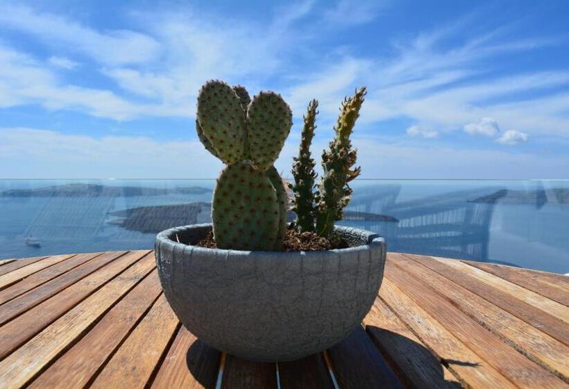 景色の見えるジュニアスイート, Cocoon Suites