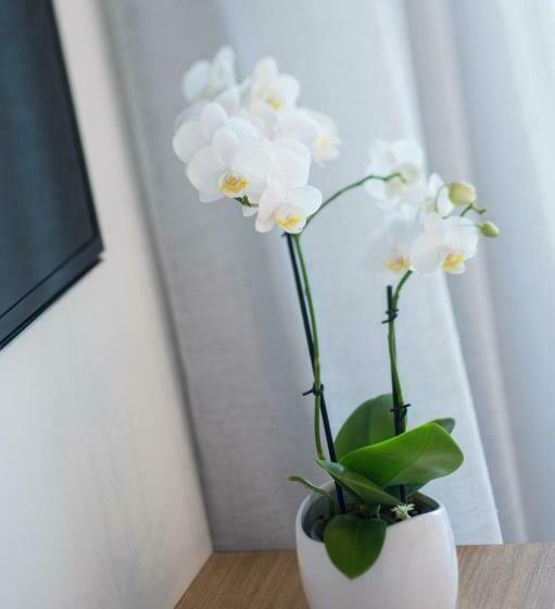 חדר סטנדרט עם נוף, Heart Hotel And Gallery Whitsundays