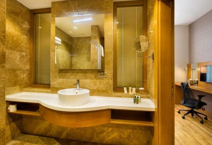 带大床的标准间, Hilton Garden Inn Kocaeli Sekerpinar