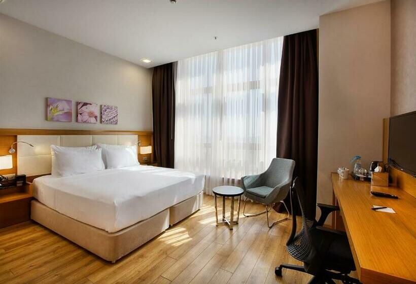 اتاق استاندارد, Hilton Garden Inn Kocaeli Sekerpinar