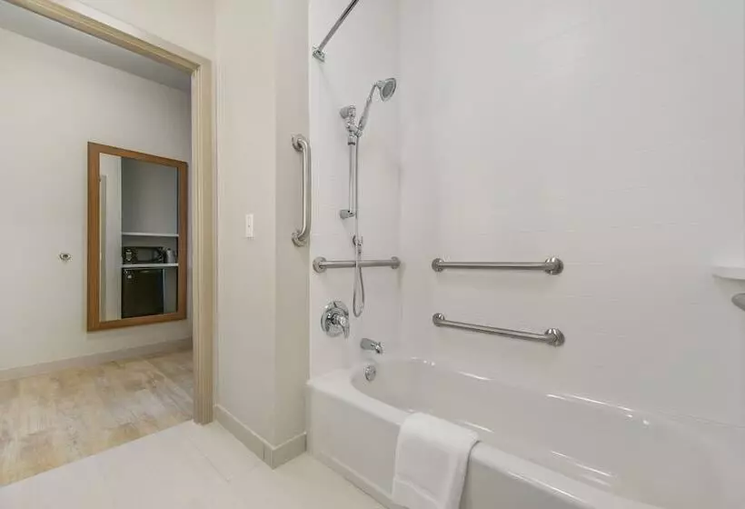 身障者適用スイートルーム, Holiday Inn Express & Suites Carrollton West, An Ihg