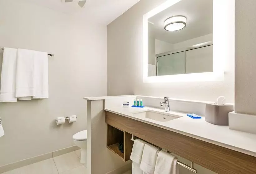 身障者適用スイートルーム, Holiday Inn Express & Suites Carrollton West, An Ihg