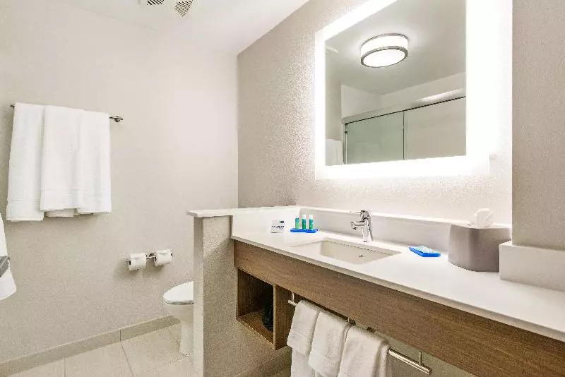 身障者適用スイートルーム, Holiday Inn Express & Suites Carrollton West, An Ihg