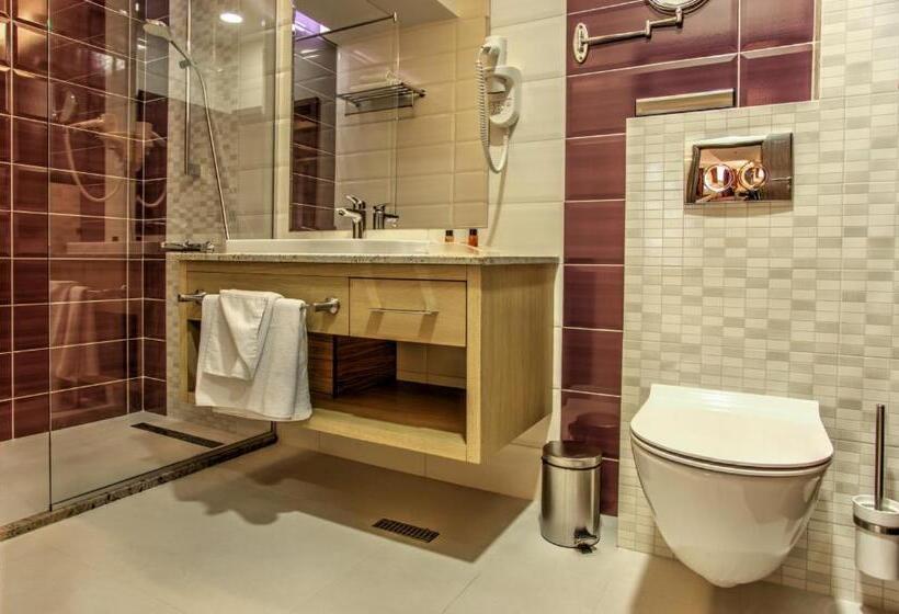 스탠다드 룸 킹사이즈 침대, Holiday Inn Plovdiv, An Ihg