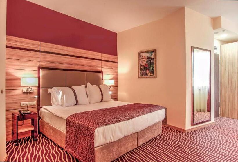 이그제큐티브 룸 킹사이즈 침대, Holiday Inn Plovdiv, An Ihg