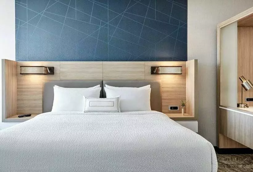 身障者適用スイートルーム, Springhill Suites By Marriott Cleveland Independence
