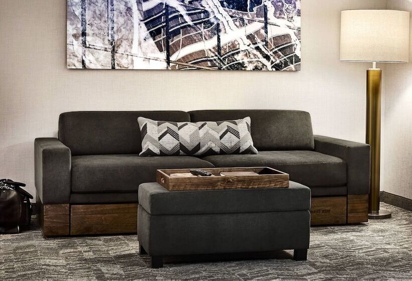 Люкс Адаптированный для Инвалидов, Springhill Suites By Marriott Cleveland Independence
