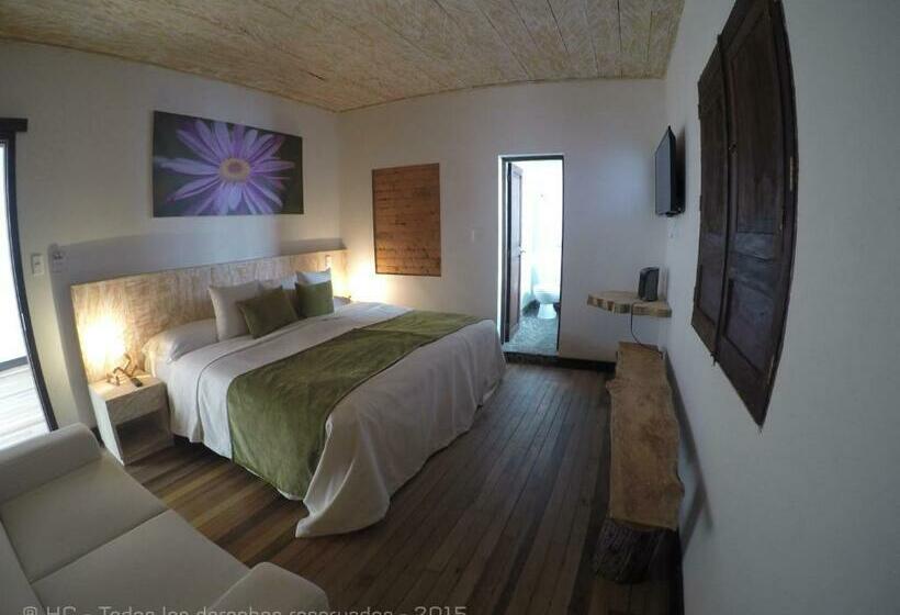 اتاق استاندارد, Termales Del Ruiz