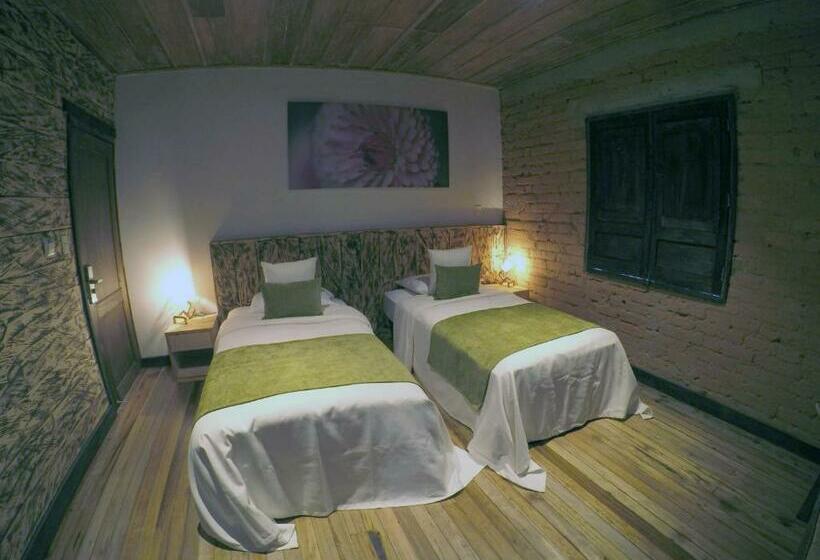 اتاق استاندارد, Termales Del Ruiz