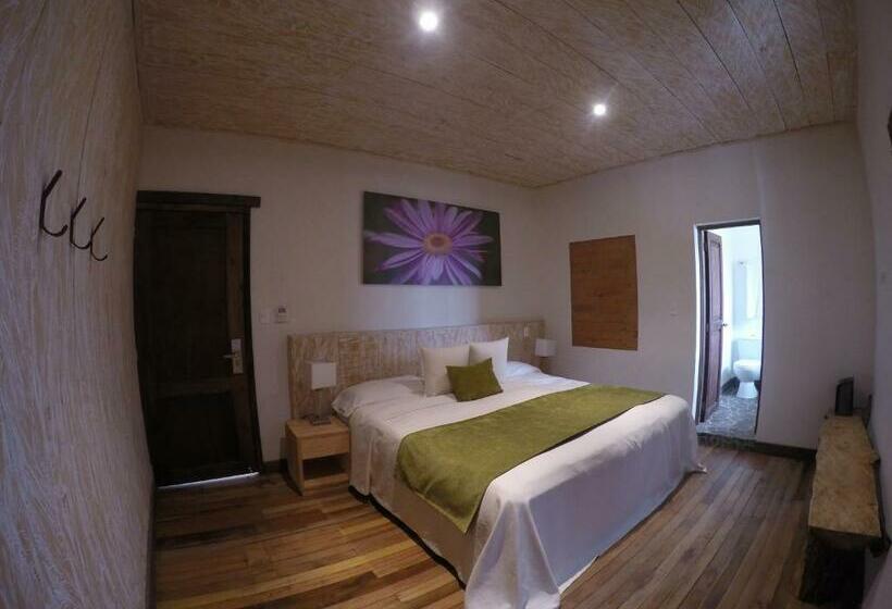 اتاق استاندارد, Termales Del Ruiz