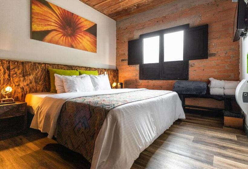 اتاق استاندارد, Termales Del Ruiz