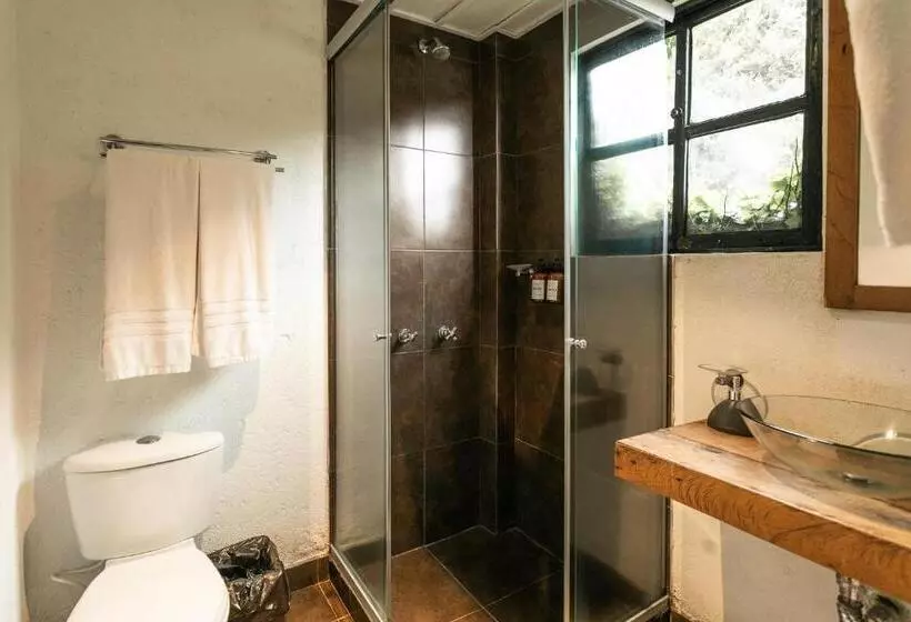 スタンダード4人部屋, Termales Del Ruiz