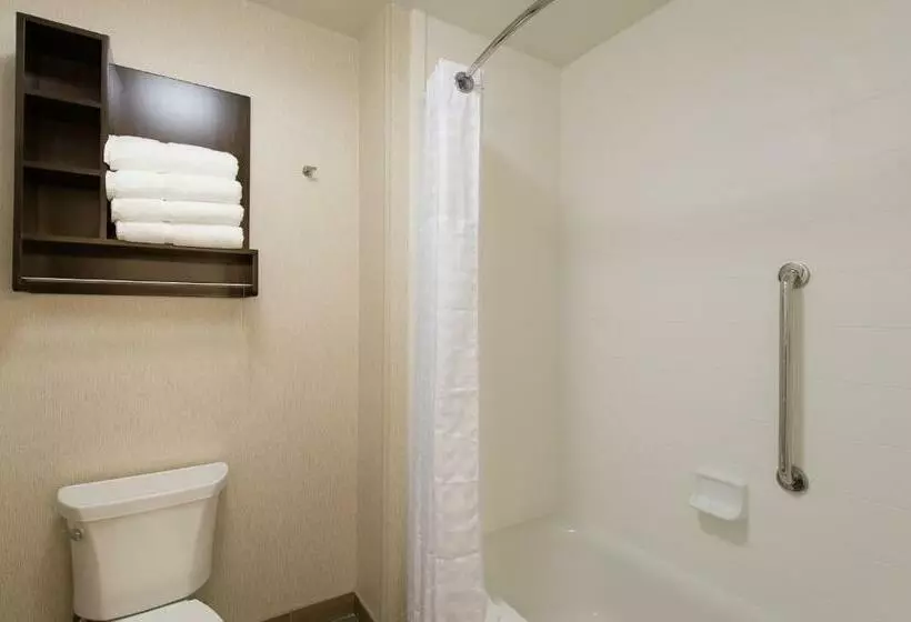 キングサイズベッドのデラックススイート, Homewood Suites By Hilton Concord Charlotte