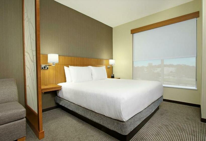 Стандартный Номер Кровать Кинг, Hyatt Place Houston Nw Vintage Park