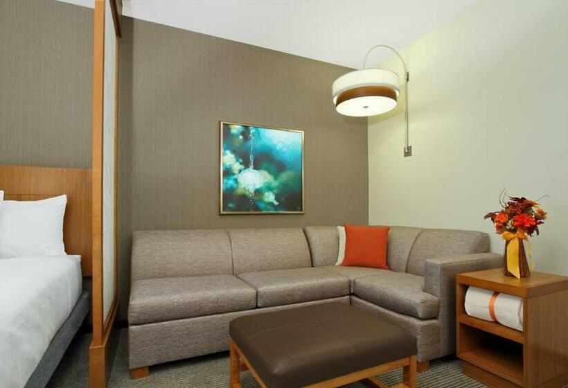 Номер Стандарт Верхний Этаж, Hyatt Place Houston Nw Vintage Park