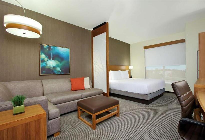 Номер Стандарт Адаптированный для Инвалидов, Hyatt Place Houston Nw Vintage Park