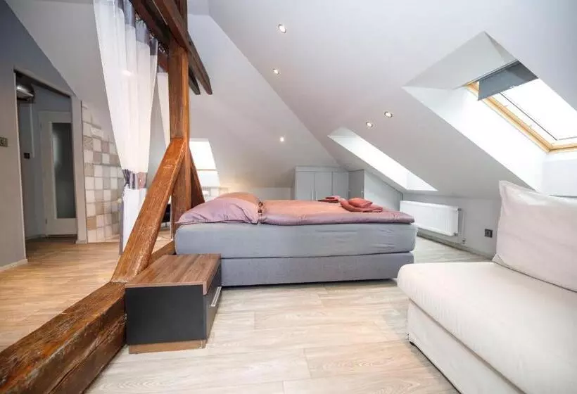 استودیو استاندارد با تخت کینگ, Libušina Villa