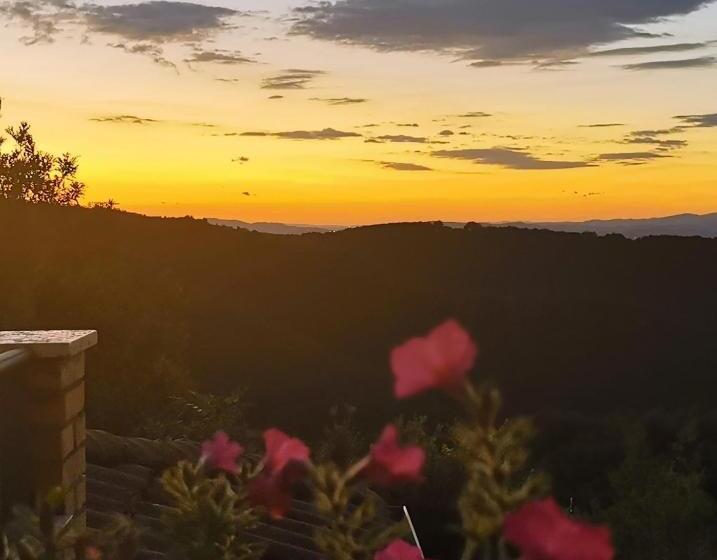 Camera Standard, Mamè