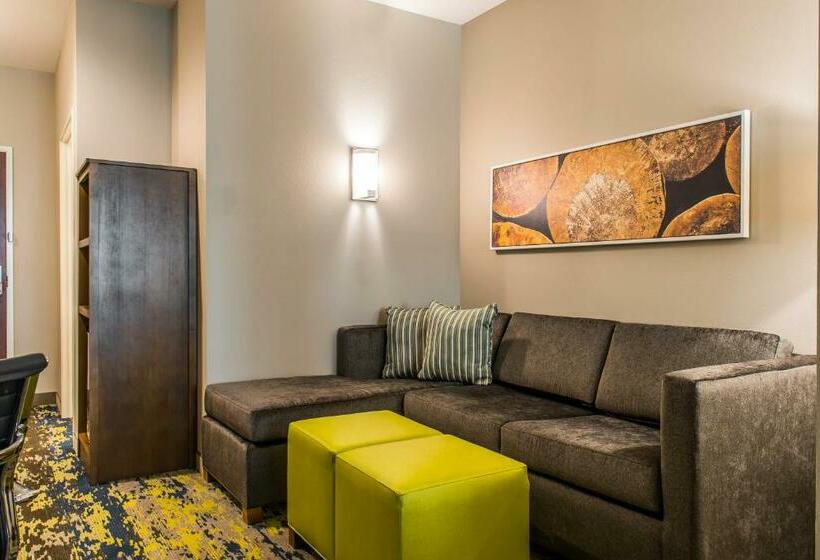 스위트, Comfort Inn & Suites Valdosta