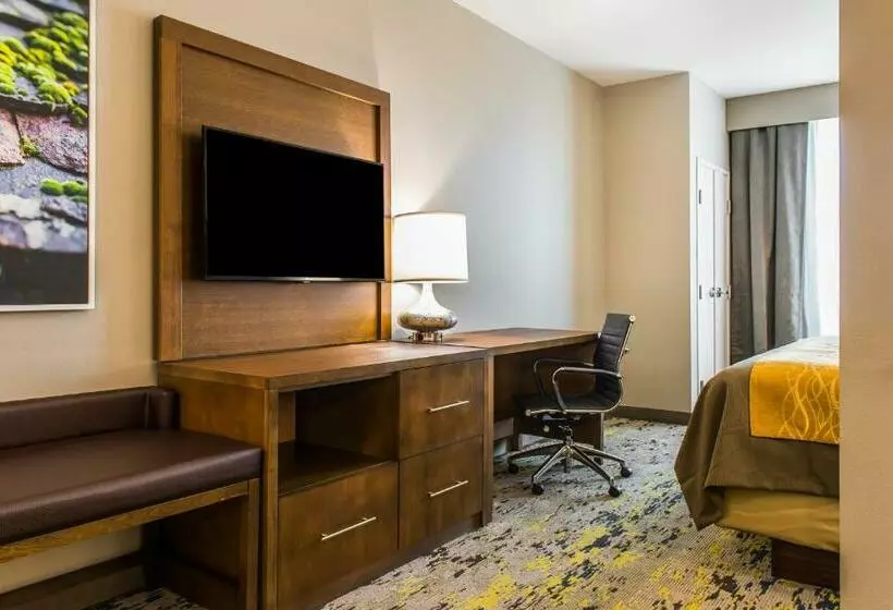 キングサイズベッドのスタンダードルーム, Comfort Inn & Suites Valdosta I 75