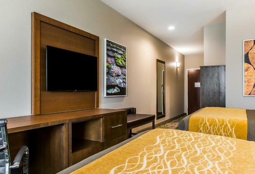 جناح لذوى الاحتياجات الخاصة, Comfort Inn & Suites Valdosta