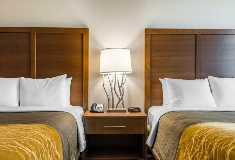 スタンダードルーム, Comfort Inn & Suites Valdosta I 75