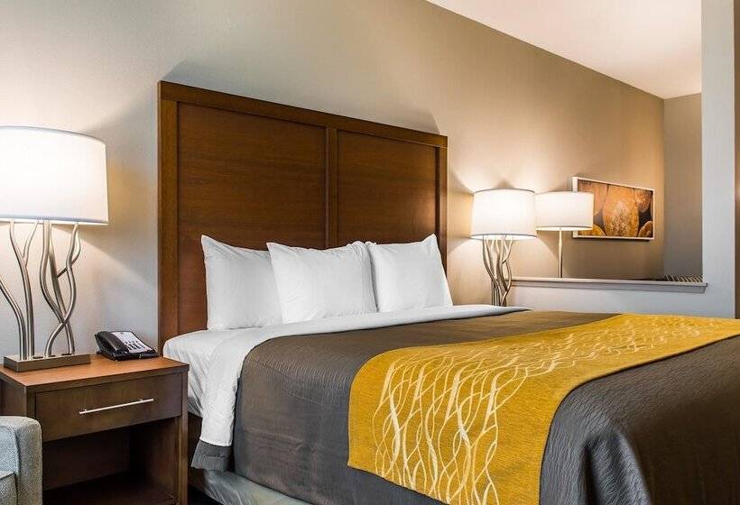 جناح لذوى الاحتياجات الخاصة, Comfort Inn & Suites Valdosta