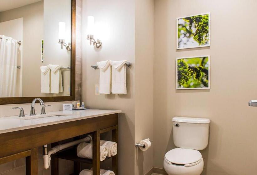 غرفة قياسية سرير كينج, Comfort Inn & Suites Valdosta