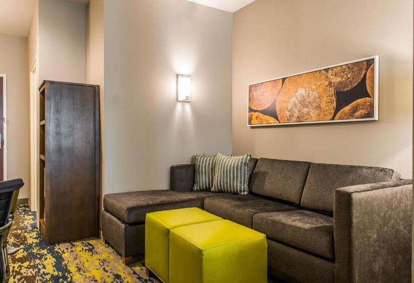 جناح لذوى الاحتياجات الخاصة, Comfort Inn & Suites Valdosta