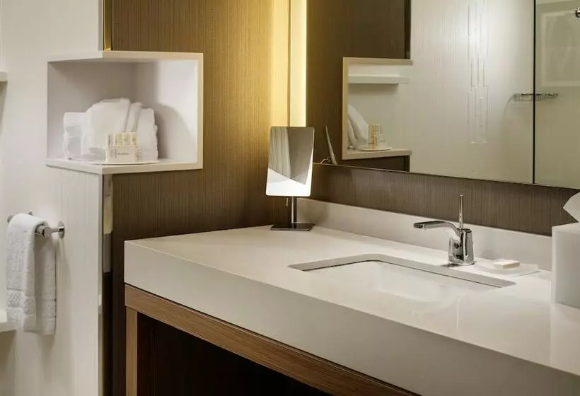 景色の見えるデラックスルーム, Courtyard By Marriott Erie Bayfront