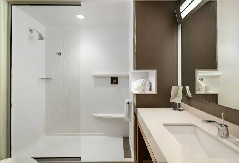 带观景的豪华间, Courtyard By Marriott Erie Bayfront