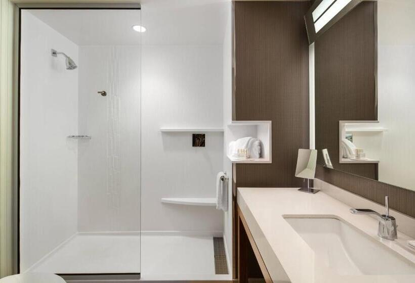 سوئیت جونیور با تخت بزرگ, Courtyard By Marriott Erie Bayfront