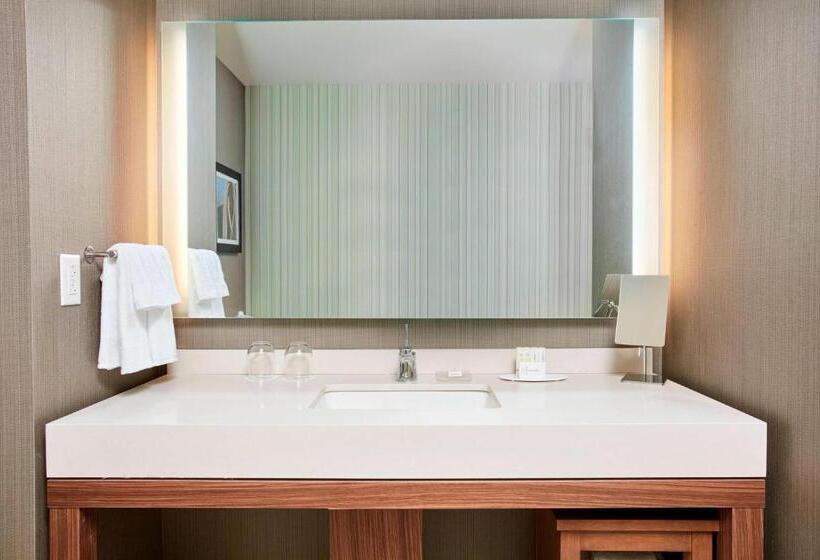 带大床的套房, Courtyard By Marriott Erie Bayfront